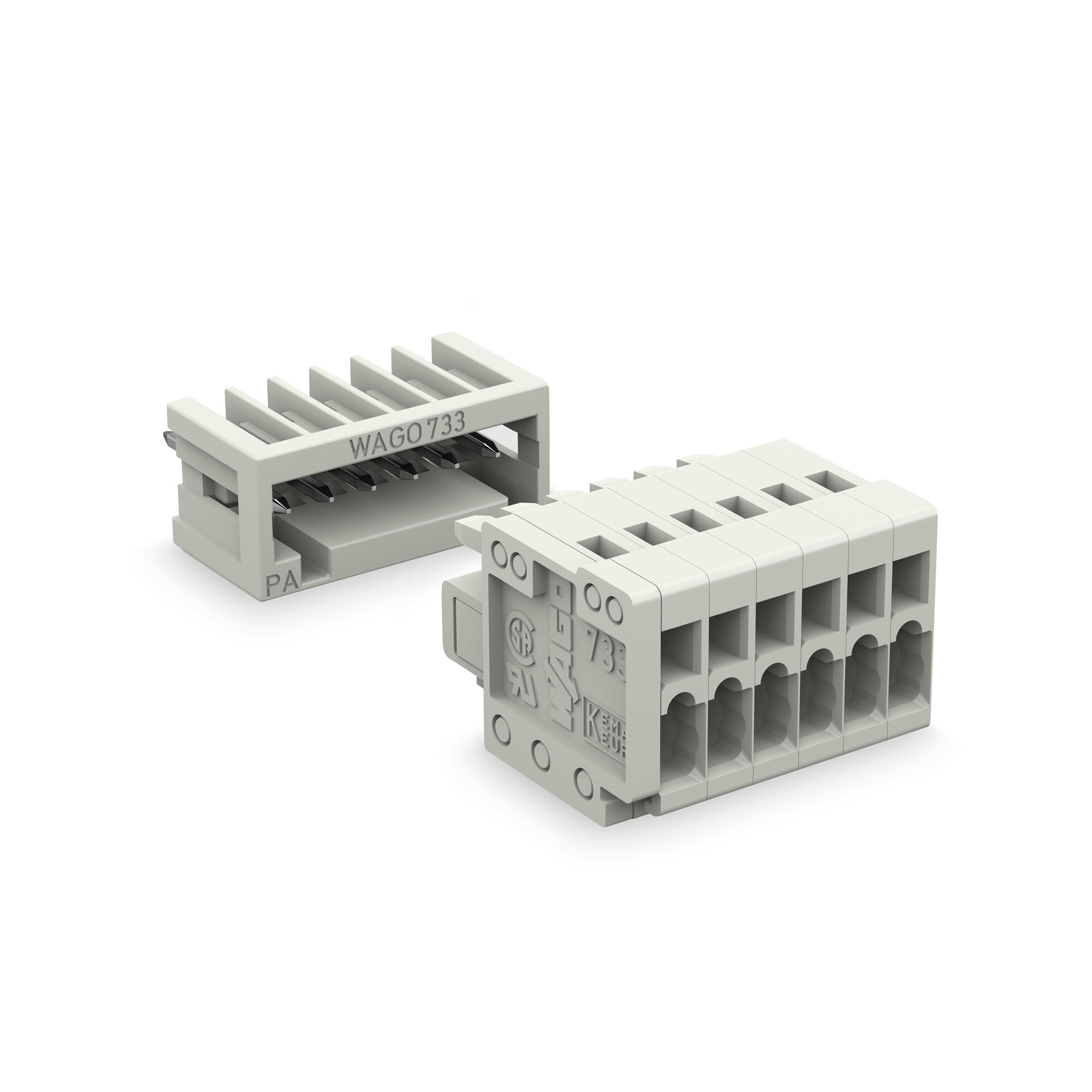 MCS MICRO